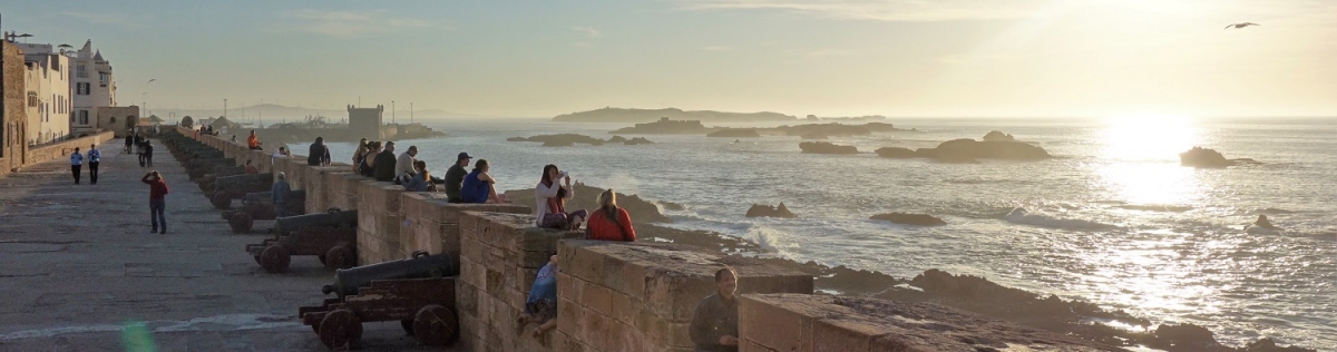 Essaouira Marokko Panorama (Alexander Mirschel)  Copyright 
Informazioni sulla licenza disponibili sotto 'Prova delle fonti di immagine'